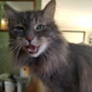 Meet your Posher, Lindsey